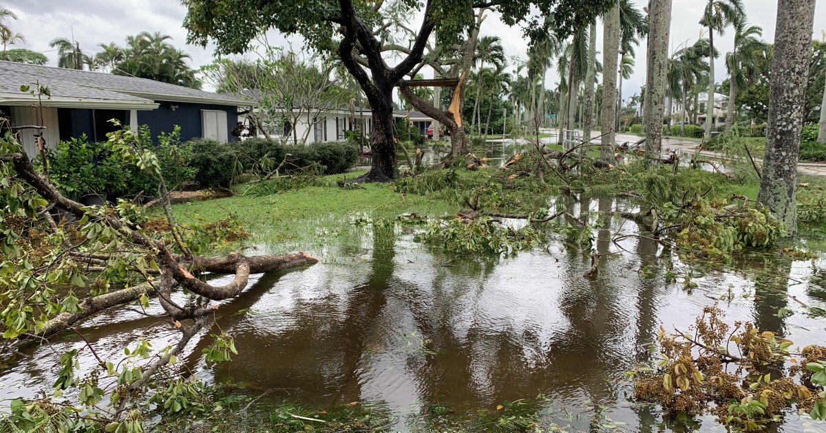 Florida utility regulators approve hurricane recovery refund | WGCU News