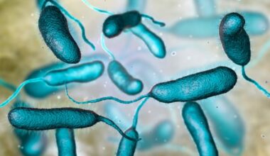 Florida reports first 2026 death from a 'flesh-eating bacteria' infection