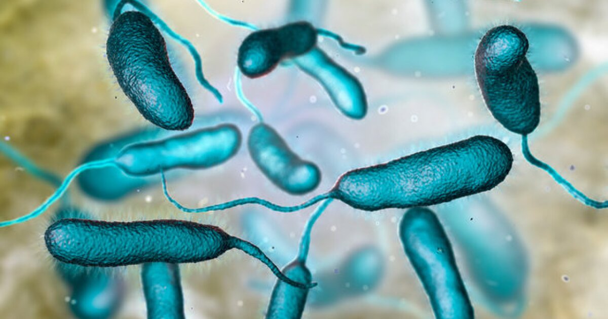 Florida reports first 2026 death from a 'flesh-eating bacteria' infection