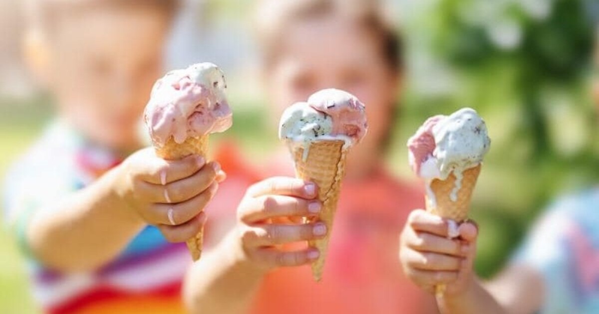 Tampa Bay events this weekend: Lynyrd Skynyrd, dance parties and a scoop of the cool stuff