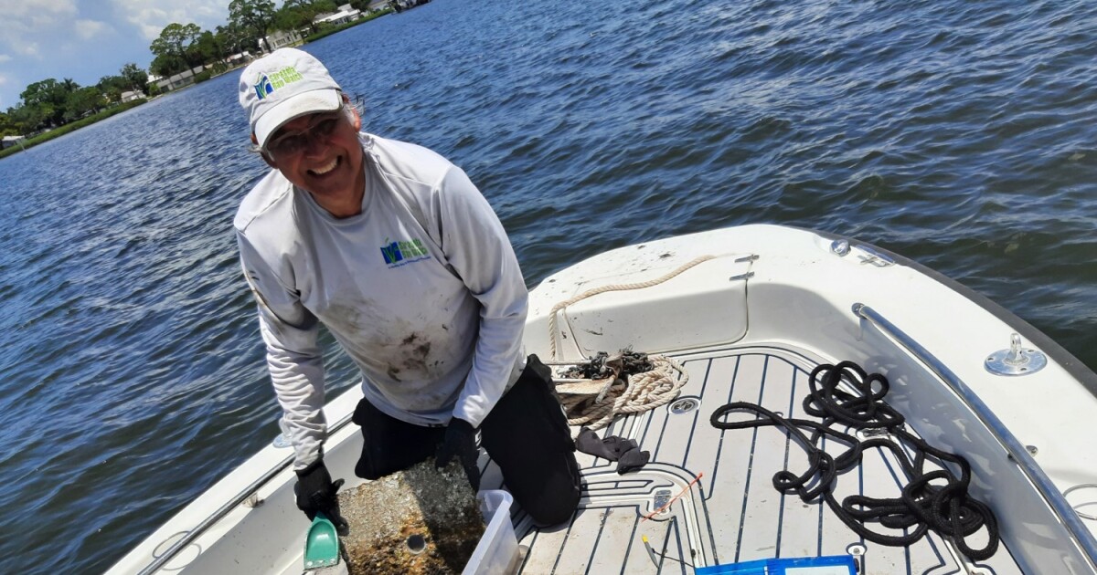 What Palmetto Bay recovery could mean for the Manatee River and Tampa Bay