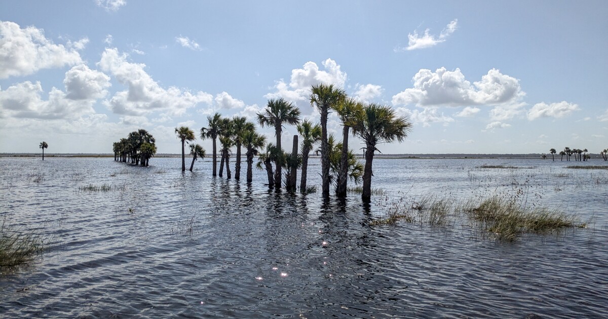 A majority of Florida waterways are polluted. But environmental enforcement is lacking