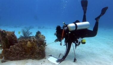 A Black genealogist's search for slave ship wrecks in Florida