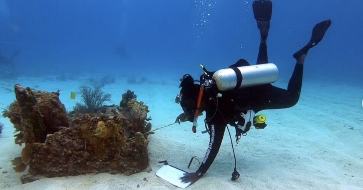 A Black genealogist's search for slave ship wrecks in Florida