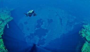 Florida's springs, the drought, and the impact of AI data centers
