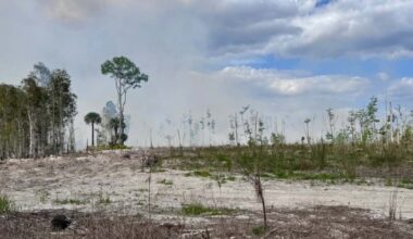 Strengthening El Niño could signal early end to Florida's rainy season