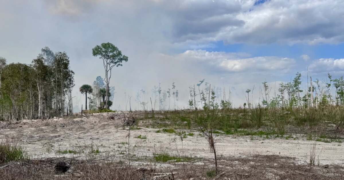 Strengthening El Niño could signal early end to Florida's rainy season