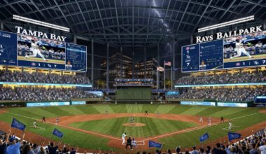 Could the Rays build a Tampa stadium without any money from the city?