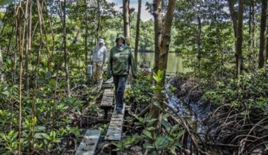Florida takes over critical Everglades plumbing project to accelerate work