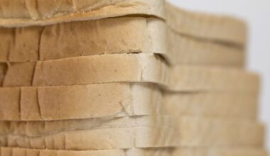 Florida AG Uthmeier probes the use of bread-improvement agent