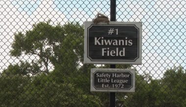 Safety Harbor Little League season could be impacted by aging lights at city park
