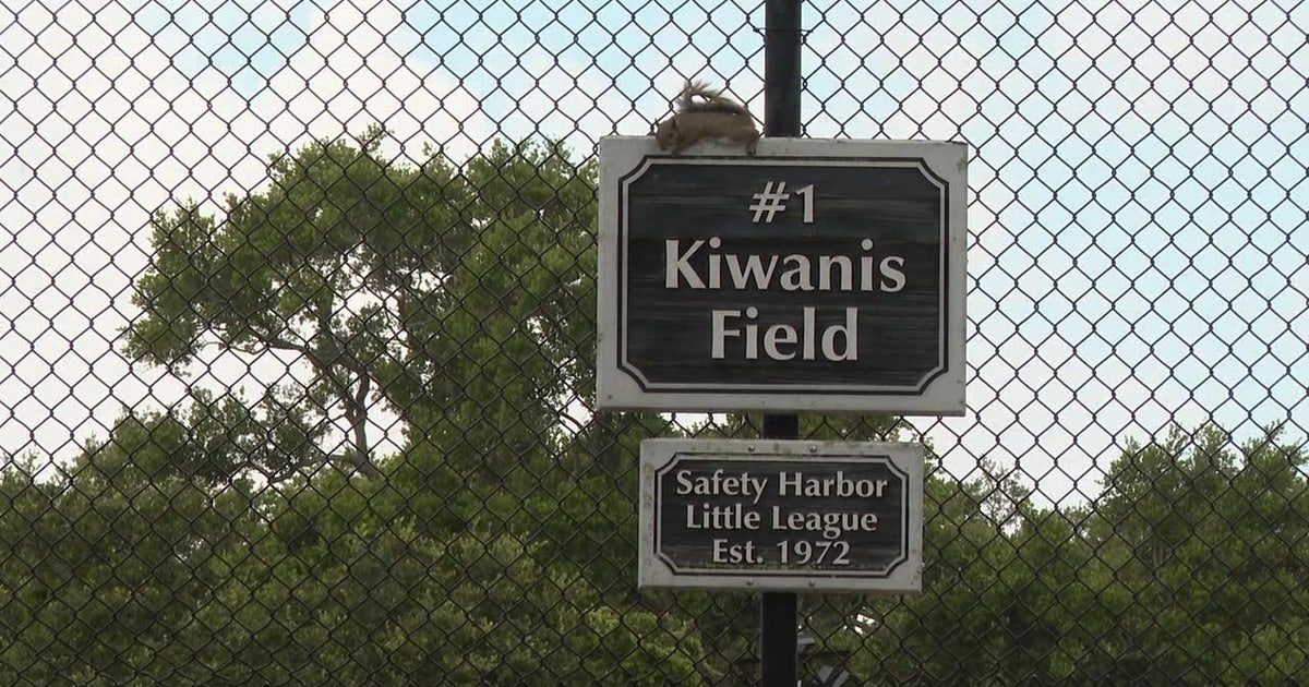 Safety Harbor Little League season could be impacted by aging lights at city park