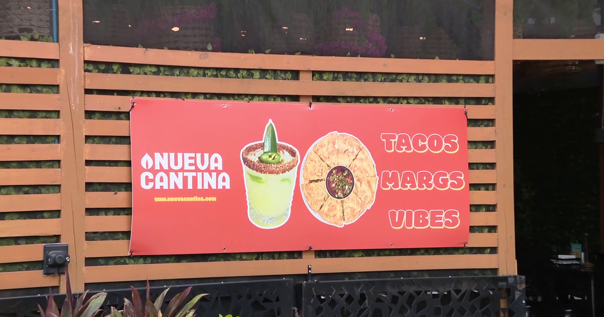 Chill out this summer with the Nueva Cantina frozen menu and cool food offerings