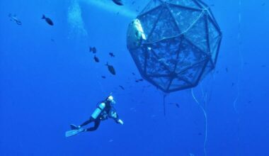 Kona-based company is bringing aquaculture to Florida