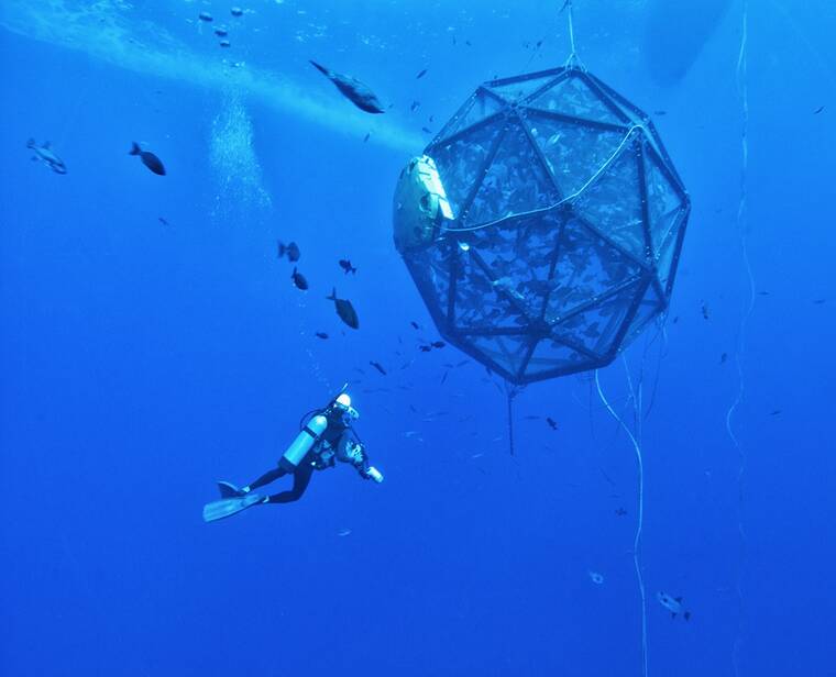 Kona-based company is bringing aquaculture to Florida