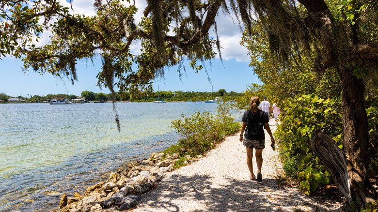 A walker hikes a trail between Tampa Bay and forests at the De Soto National Memorial
