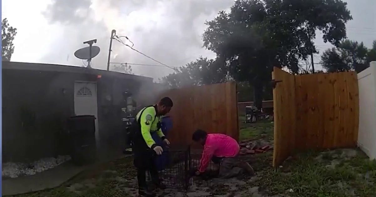 Officer, neighbor rescue trapped dog from lightning-sparked Ocoee house fire