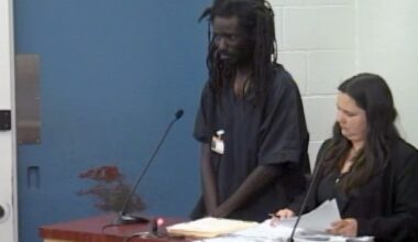 Man accused of stabbing rideshare driver remains jailed after unusual first court appearance