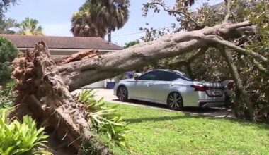 Storm uproots tree, crushes cars outside Maitland home