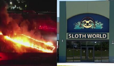 Orange County explores solutions for better warehouse oversight, after Sloth World, Magic in the Sky incidents