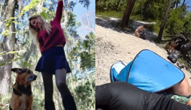 911 call, deputy body cam released in Florida alligator attack: 'She needs help'