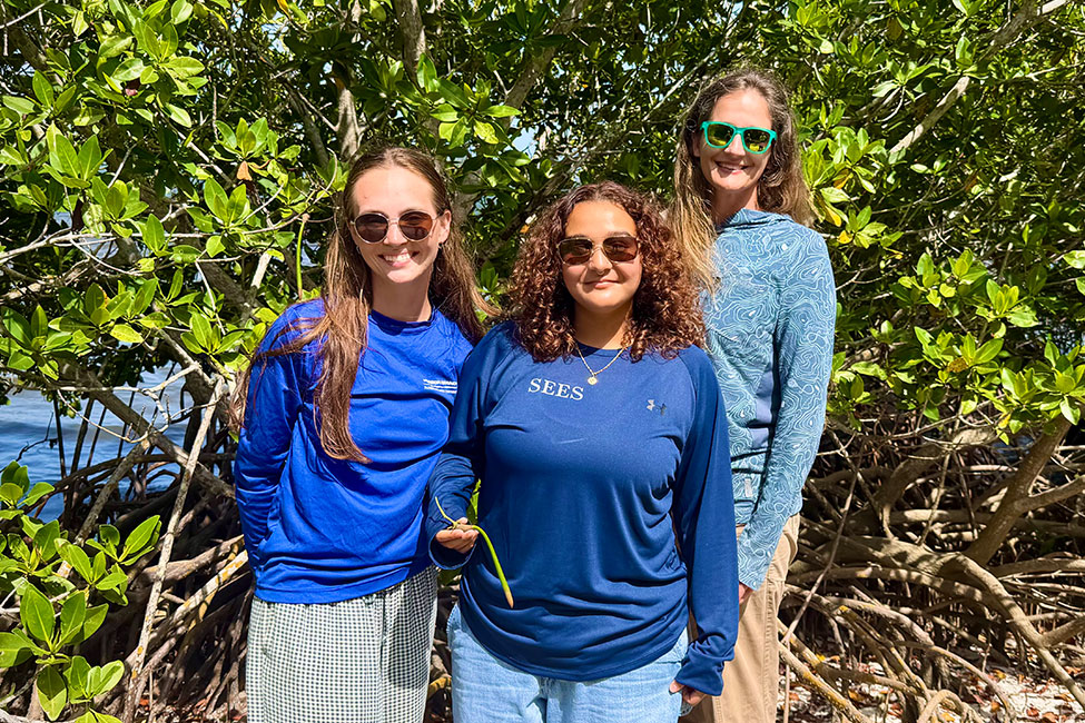 Three people stand outside in front of a clump of red mangroves along a coastline. They are all wearing sunglasses and smiling at the camera. One is holding a mangrove propagule.
