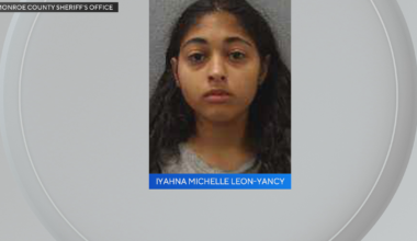 Miami-Dade woman arrested in the Keys, accused of leaving her dog in a hot car, deputies say