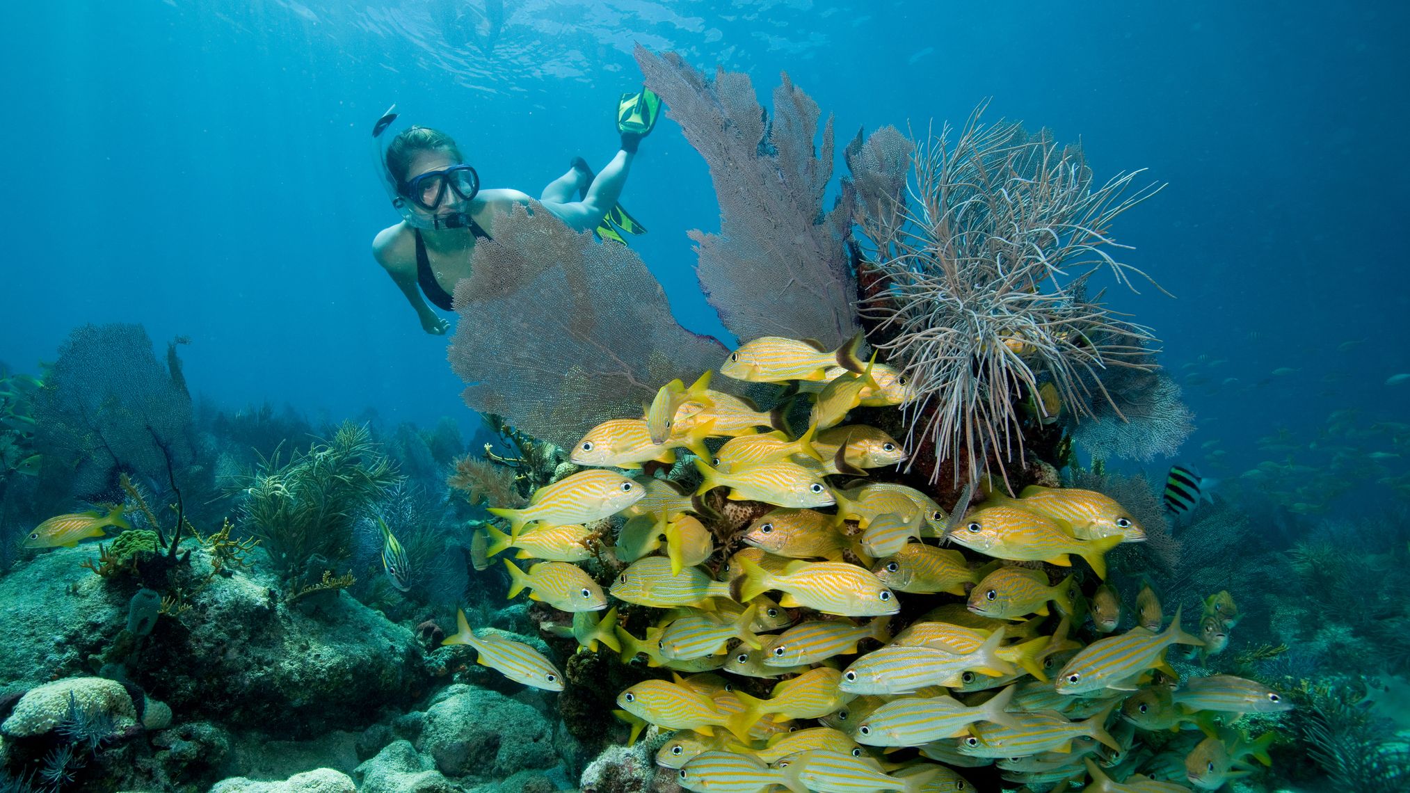 a woman scuba diving in Key Largo