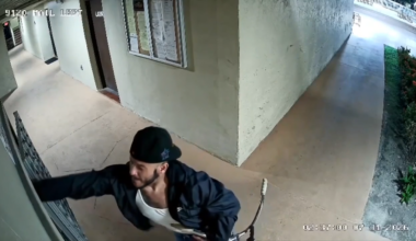 Mail thief caught on camera stealing envelopes at West Miami-Dade apartment complex - WSVN 7News | Miami News, Weather, Sports
