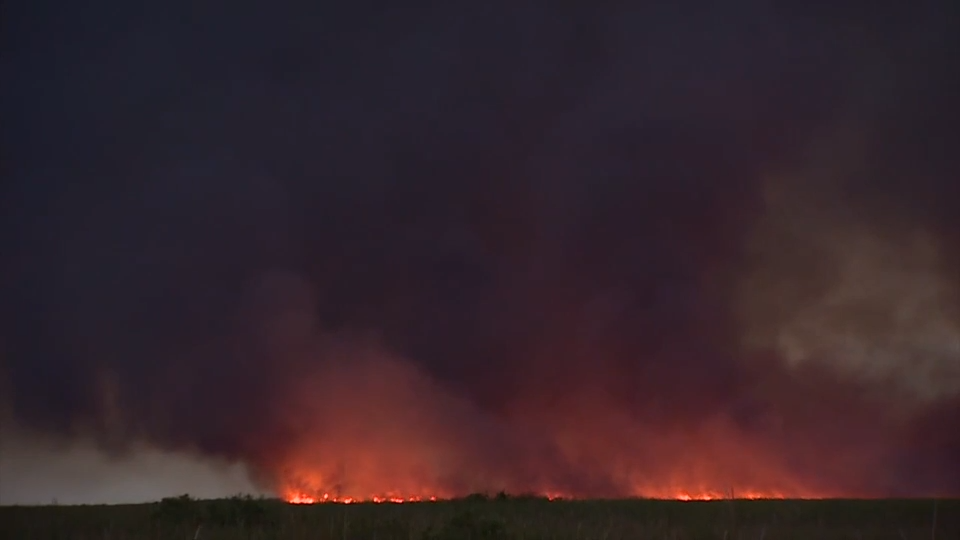 Fire crews battle grass fire in SW Miami-Dade; no structures threatened - WSVN 7News | Miami News, Weather, Sports