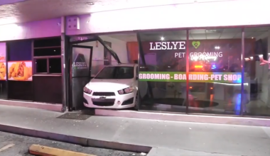 Driver smashes through Doral pet grooming shop; owner says no animals were hurt - WSVN 7News | Miami News, Weather, Sports