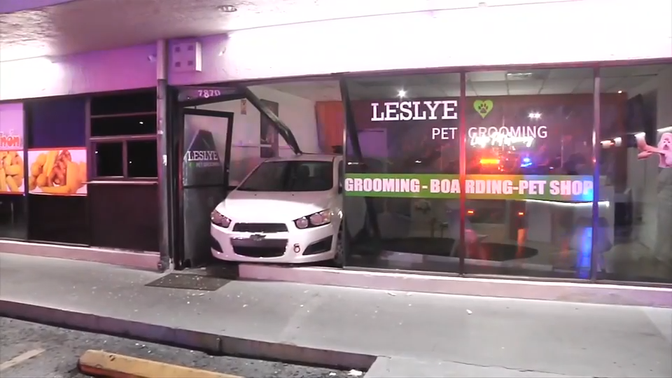 Driver smashes through Doral pet grooming shop; owner says no animals were hurt - WSVN 7News | Miami News, Weather, Sports