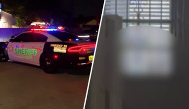 Deputies respond to crisis possibly involving Perez Hilton at Miami home – NBC 6 South Florida