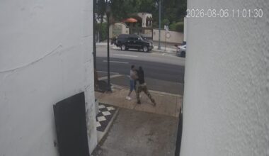 Miami man arrested after random punch caught on camera – NBC 6 South Florida