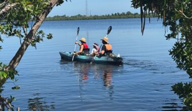 Proposed budget cuts could impact Pinellas County parks