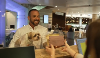 Every dog can have their best day at InterContinental Miami for National Dog Month - WSVN 7News | Miami News, Weather, Sports