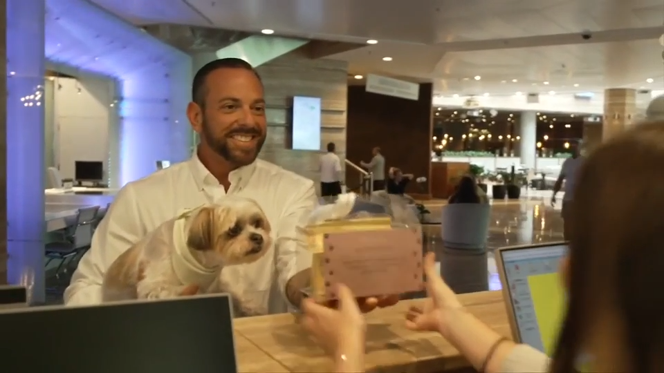 Every dog can have their best day at InterContinental Miami for National Dog Month - WSVN 7News | Miami News, Weather, Sports