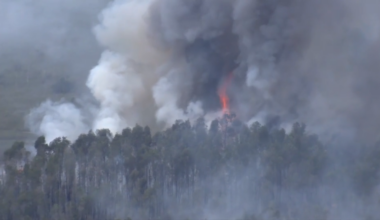 Crews battle brushfire in West Miami-Dade - WSVN 7News | Miami News, Weather, Sports