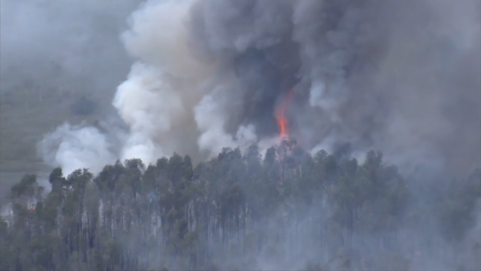 Crews battle brushfire in West Miami-Dade - WSVN 7News | Miami News, Weather, Sports