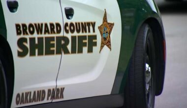 Man arrested after dozens of drums of industrial cleaner dumped into storm drain, BSO says – NBC 6 South Florida