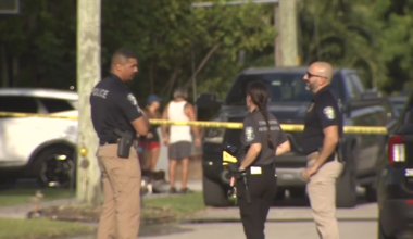 1 in custody, 2 hospitalized after shooting on Hollywood street as detectives investigate - WSVN 7News | Miami News, Weather, Sports