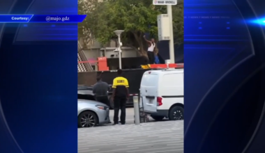 Man in custody after yelling at people, destroying property at Brickell Starbucks, police say - WSVN 7News | Miami News, Weather, Sports