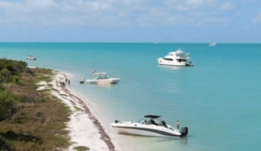 Man airlifted from Key West to SW Miami-Dade after being bitten by a shark - WSVN 7News | Miami News, Weather, Sports