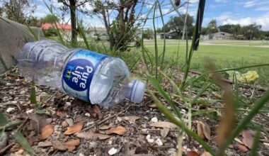 Group calls Apollo Beach 'hidden gem,' plans cleanups