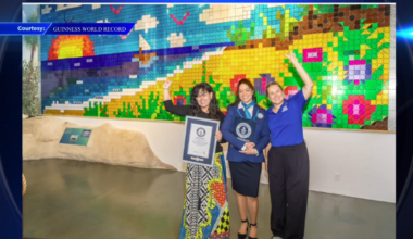Museum of Discovery and Science in Fort Lauderdale sets world record for largest magnetic tile mosaic - WSVN 7News | Miami News, Weather, Sports