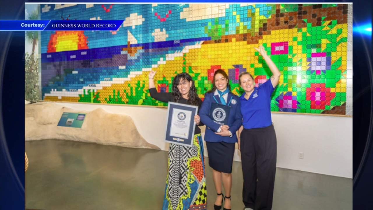 Museum of Discovery and Science in Fort Lauderdale sets world record for largest magnetic tile mosaic - WSVN 7News | Miami News, Weather, Sports
