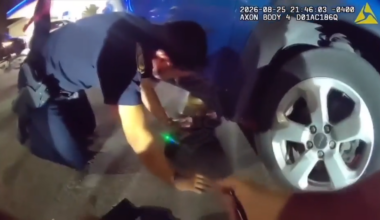 Miami Beach Police applauds officers’ quick thinking to help woman pinned under car after crash - WSVN 7News | Miami News, Weather, Sports