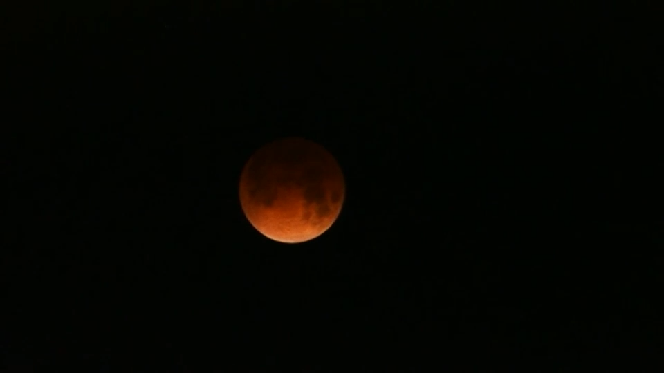 FIU students observe ‘almost blood moon’ during nighttime eclipse - WSVN 7News | Miami News, Weather, Sports