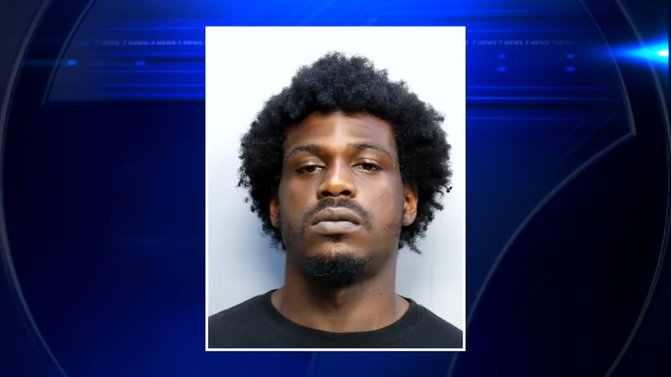 Man accused of injuring 3 during high-speed pursuit on I-95 makes court appearance - WSVN 7News | Miami News, Weather, Sports