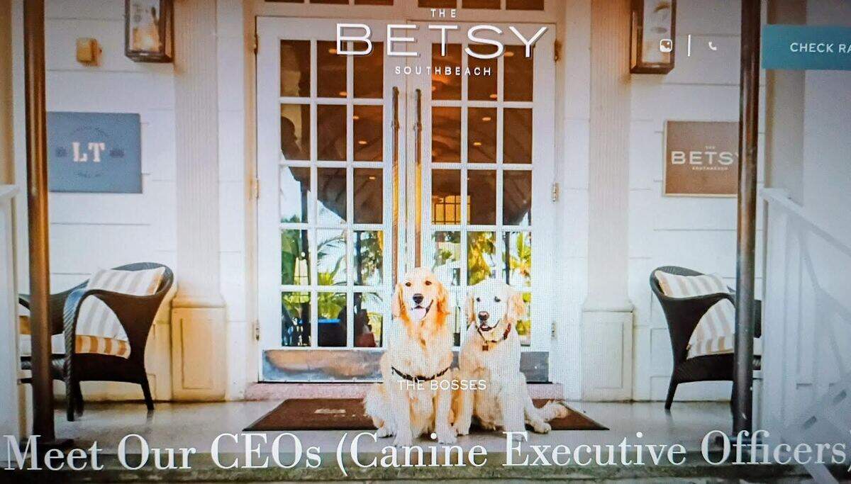 At The Betsy hotel on Miami Beach, guests could be greeted by Betsy and Rosa.